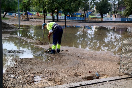 Efectes de la pluja en un parc d'Amposta - ACN