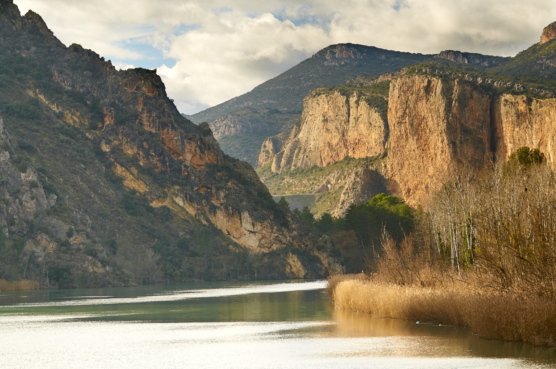 Les cingleres i els ambients fluvials configuren el paisatge de l'espai