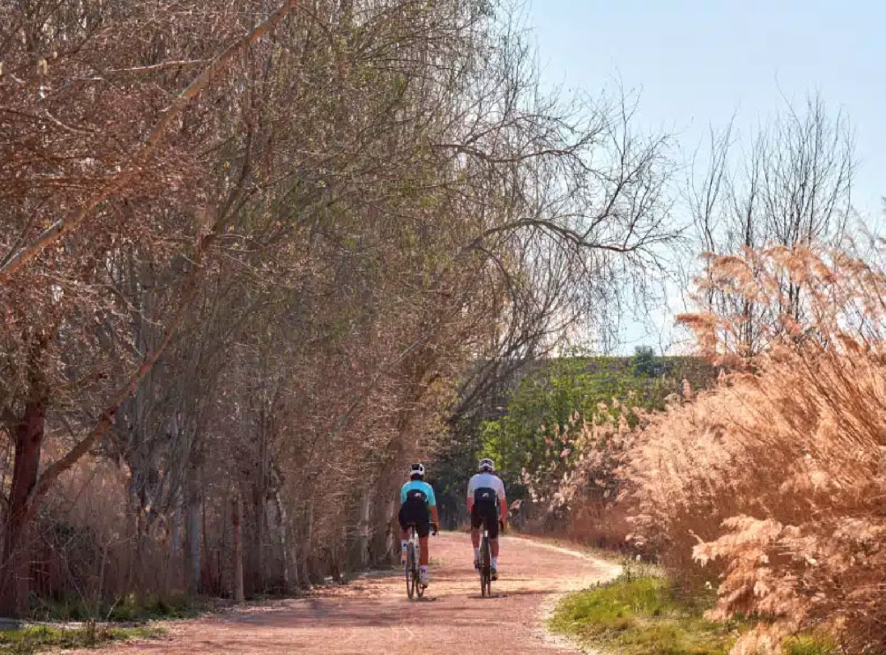 Ciclistes en ruta - Diputaci de Lleida