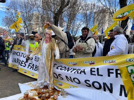 Apicultors protestant a Madrid contra el frau de mels importades