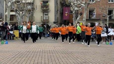 Campionat de sardanes