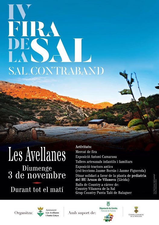 A784Ce64025Aaa3C4B2C707Ef2Ceb65Fcartellfiradelasal2019