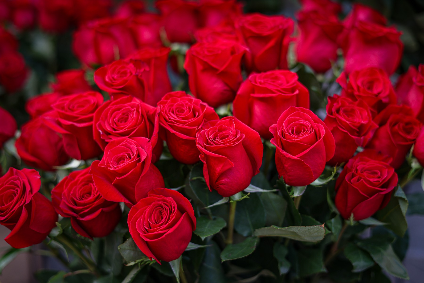 Bfc3D2E0B0082E64B08Eb98Bae92B6D50B102228E7B0411B965Bd3964C614Ea9