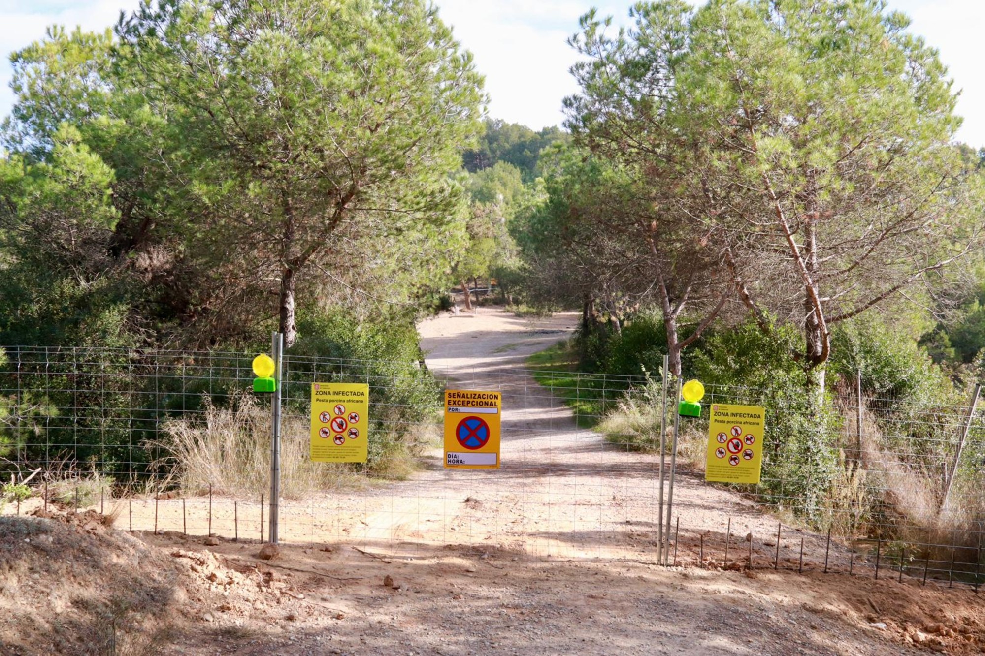 Tanques en una zona afectada