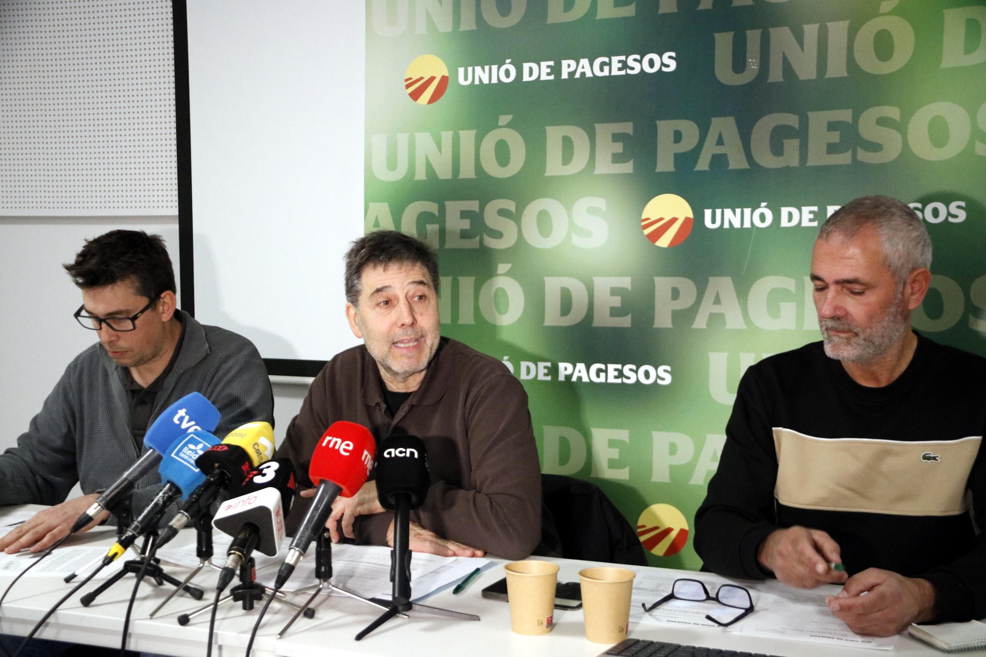 Roda de premsa d'UP per valorar les pèrdues del sector porcí pel brot de PPA