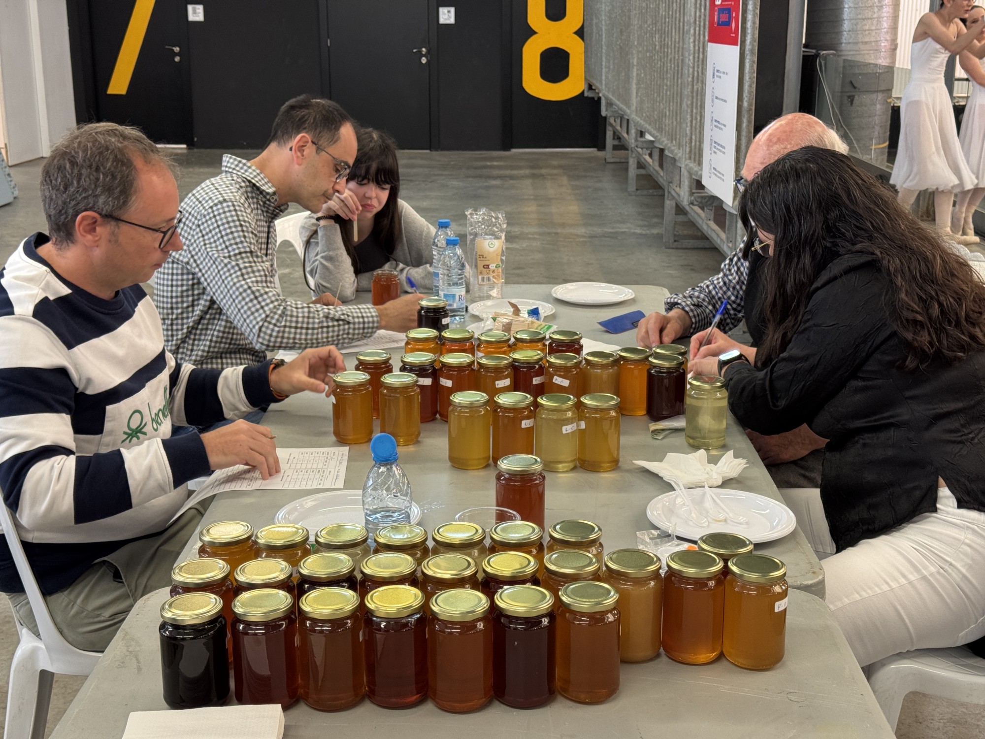 Concurs de l'any 2025