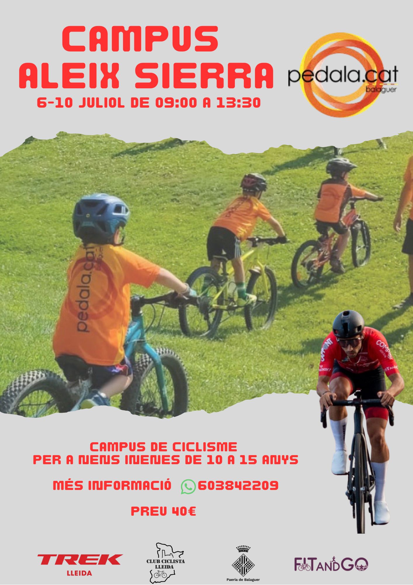Cartell
