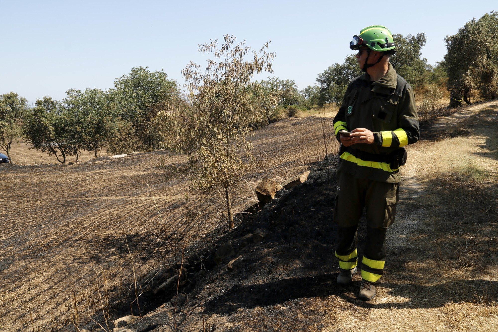 Agent Rural inspeccionant un camp cremat - Arxiu