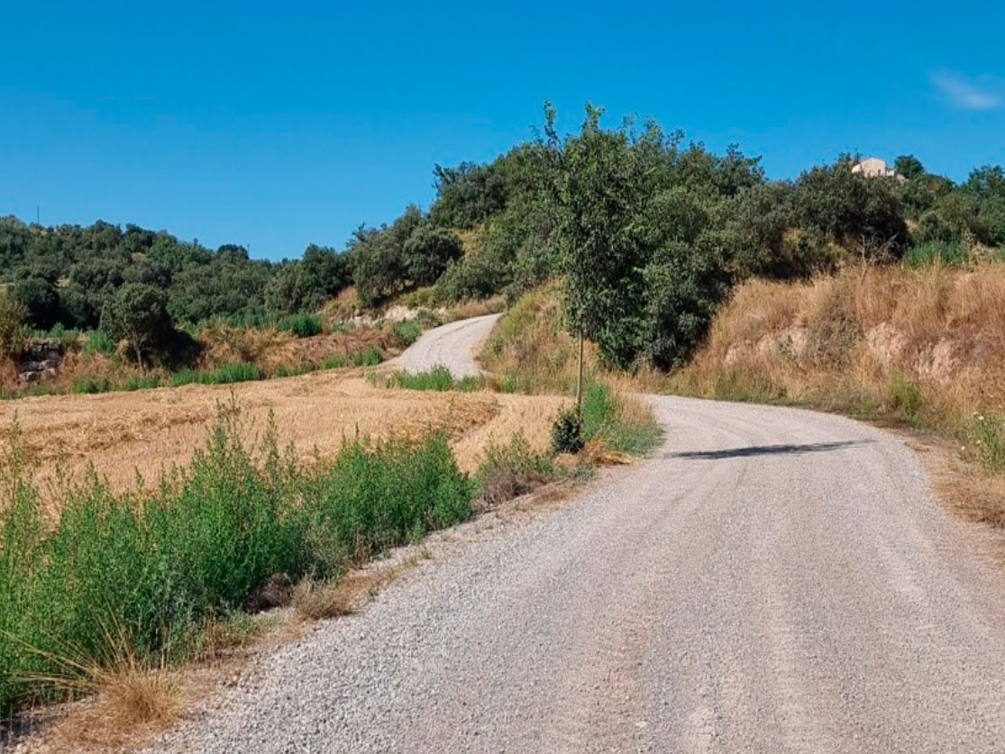 Estat actual d'un tram del camí - Foto:  Ajuntament de Vilanova de l’Aguda