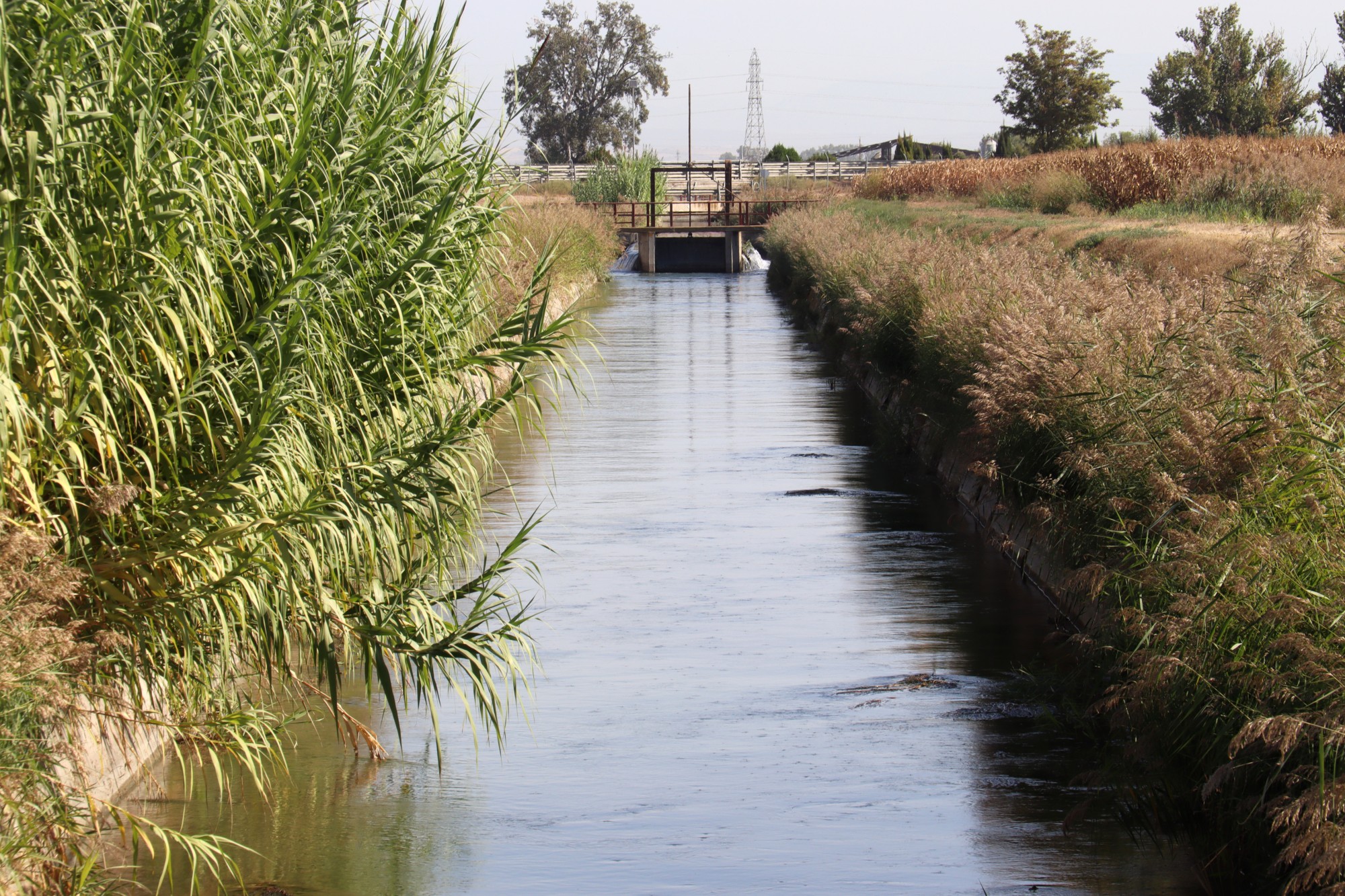 Canal auxiliar